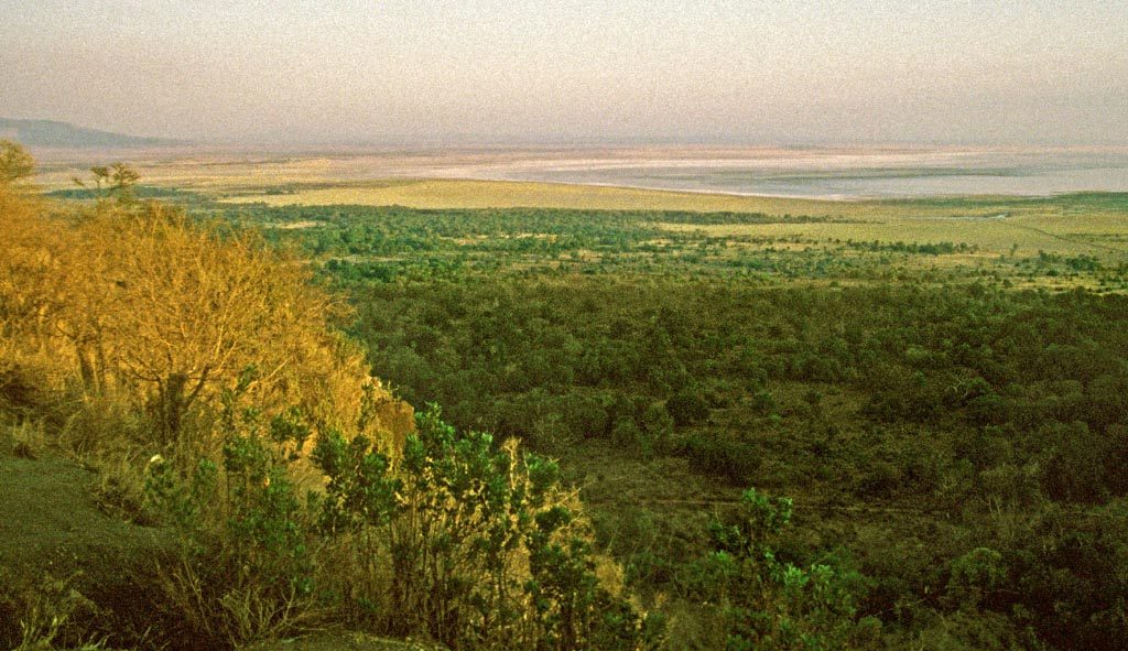 [Lake manyara]