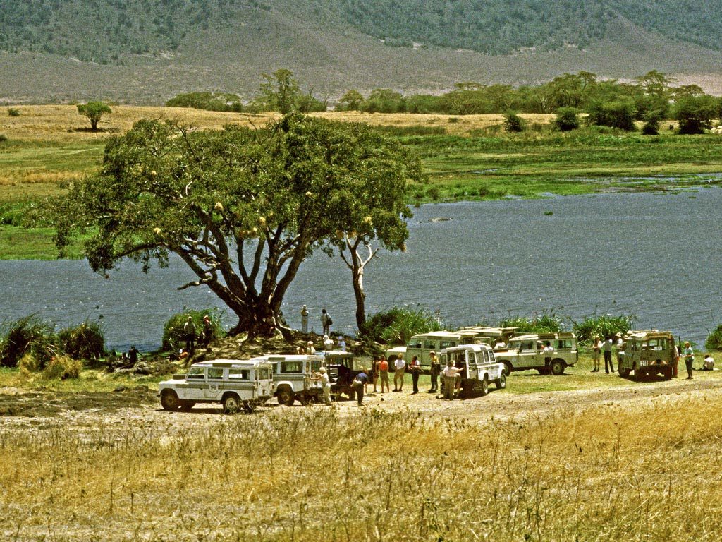 [picnic spot]