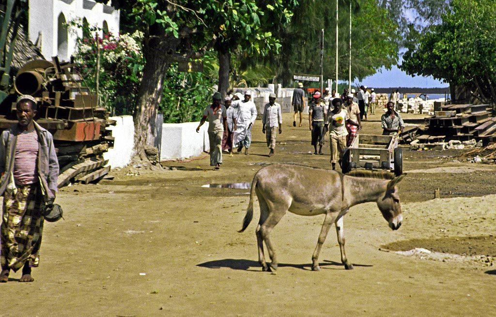 [Lamu street]