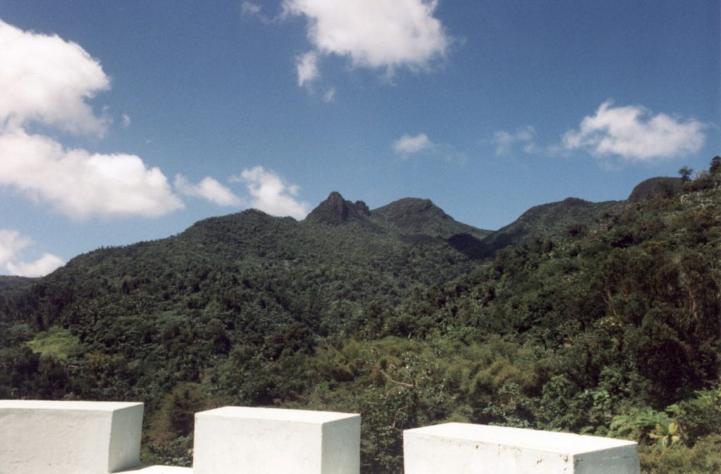 [Yunque]